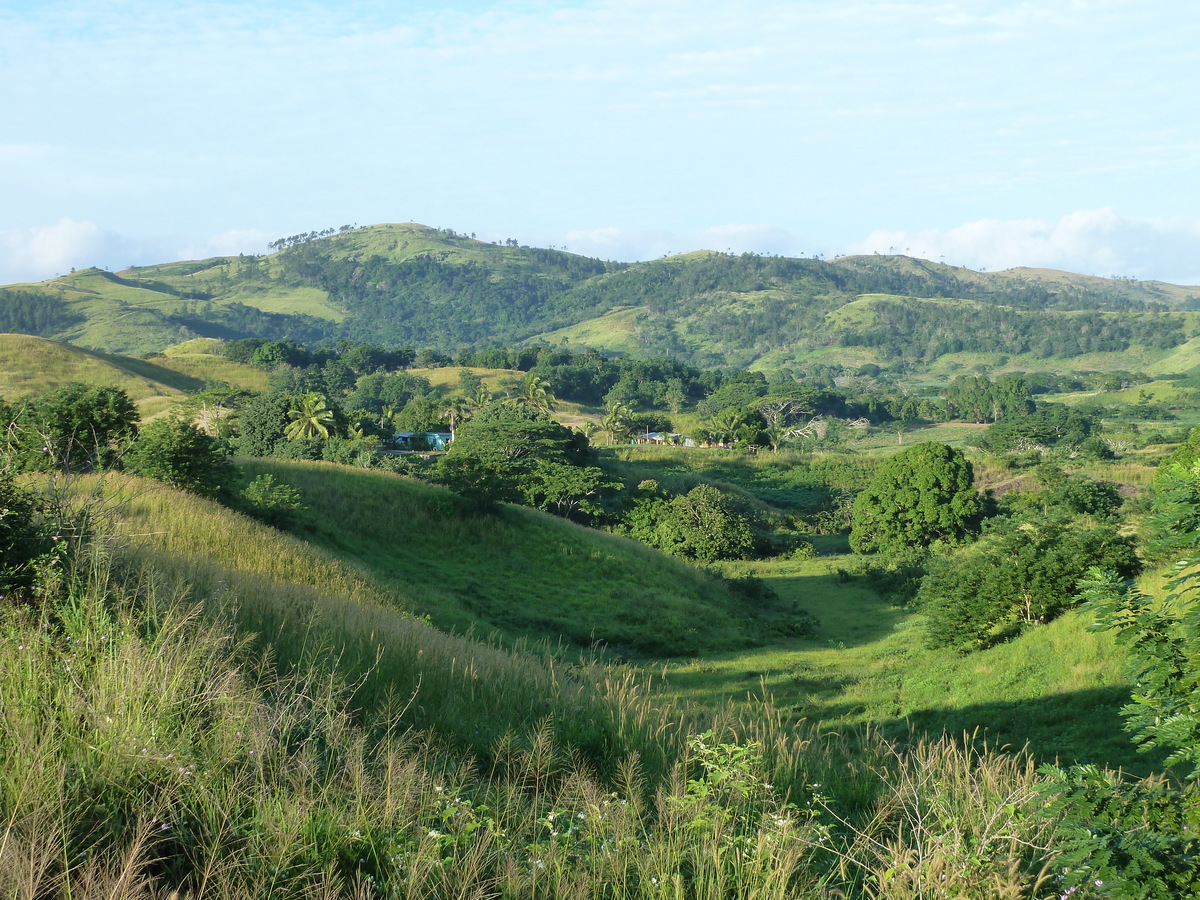 รูปถ่าย ฟิจิ(Fiji) 2010-05 17