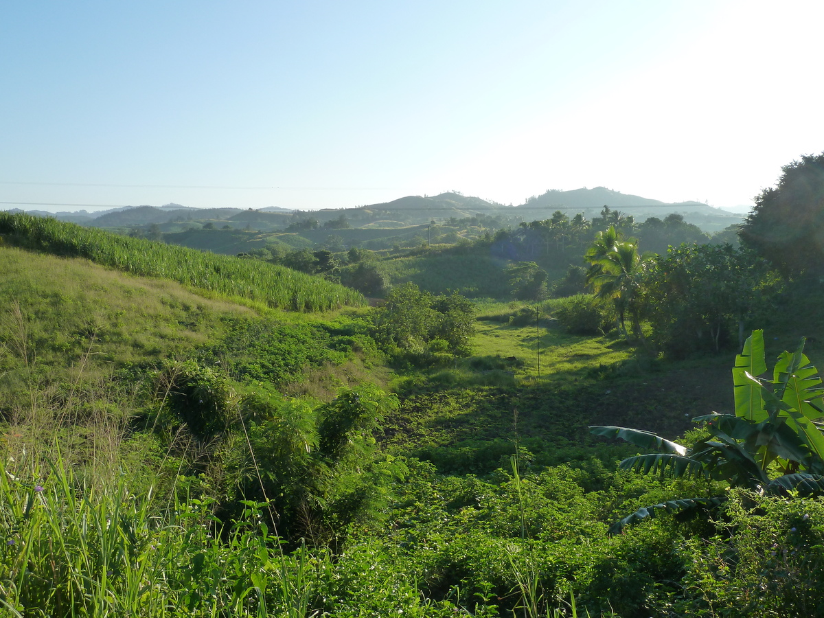 รูปถ่าย ฟิจิ(Fiji) ถนนจากนาดีไปซิงกาโตกา(Nadi to Sigatoka road) 2010-05 12