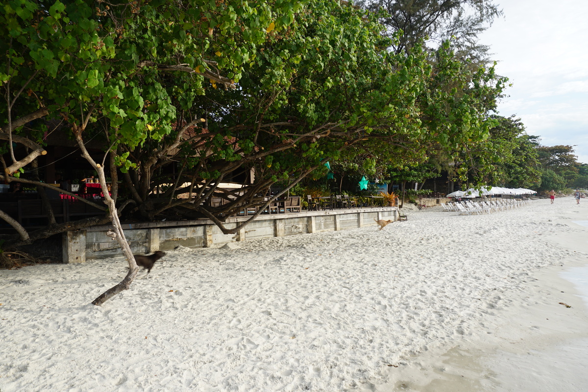 รูปถ่าย ไทย(Thailand) เกาะเสม็ด(Ko Samet) 2016-12 9