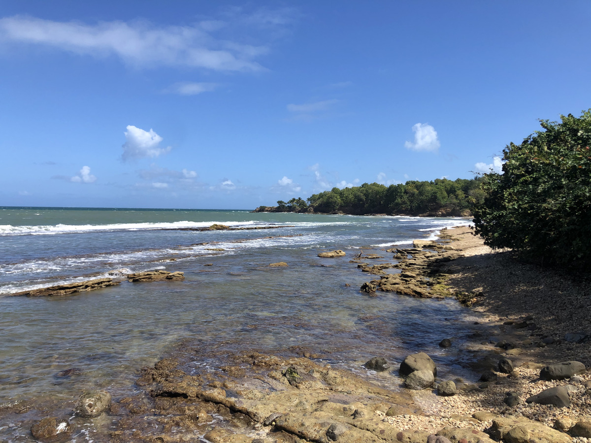 รูปถ่าย กวาเดอลูป(Guadeloupe) หาดกลูญี(Clugny Beach) 2021-02 10