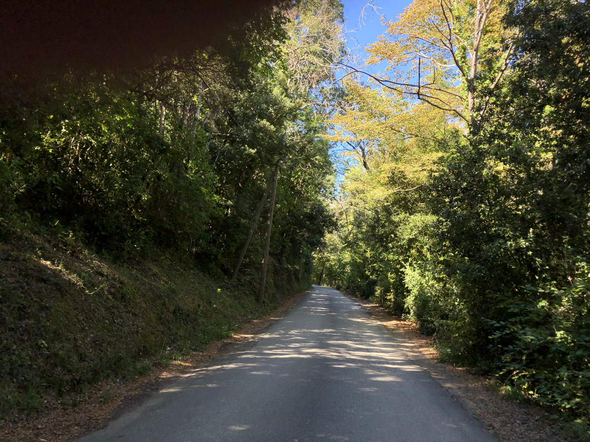 รูปถ่าย ฝรั่งเศส(France) คอร์สิคา(Corsica) ซานจูเลียโน(San Giuliano) 2018-09 5
