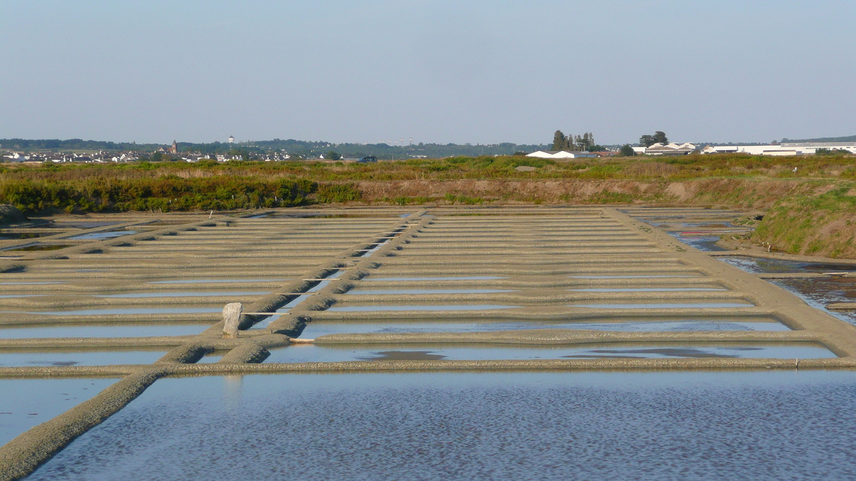 รูปถ่าย ฝรั่งเศส(France) เกรองเดอ(Guerande) นาเกลือ(Les marais salants) 2007-08 21