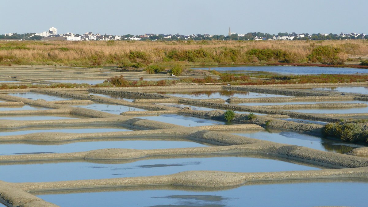 รูปถ่าย ฝรั่งเศส(France) เกรองเดอ(Guerande) นาเกลือ(Les marais salants) 2007-08 26