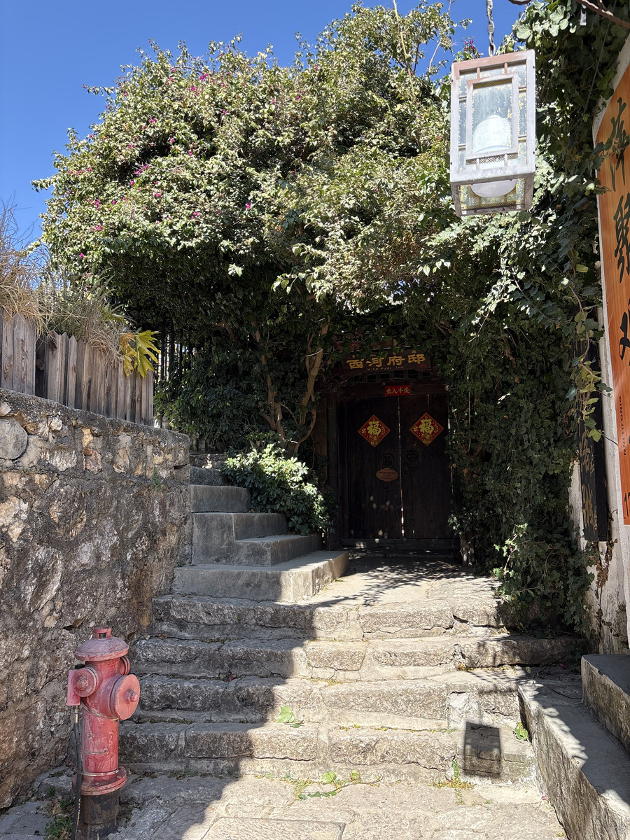 รูปถ่าย จีน(China) ลี่เจียง(Lijiang) 2026-01 414