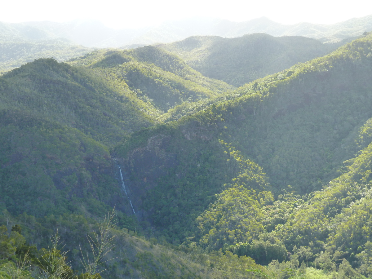 รูปถ่าย นิวแคลิโดเนีย(New Caledonia) ถนนจากกานาลาไปลาฟัว(Canala to La Foa road) 2010-05 46