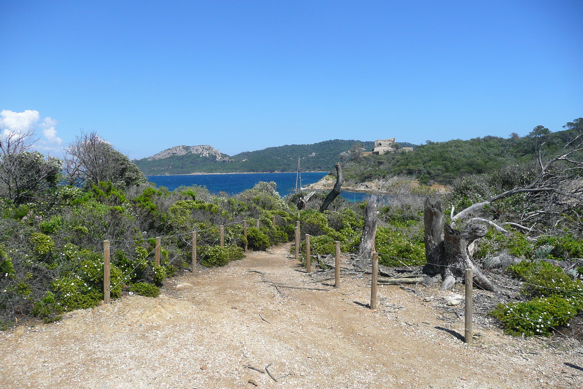 รูปถ่าย ฝรั่งเศส(France) เกาะปอร์เกอรอล(Porquerolles Island) แหลมเลอแก็ง(Pointe du Lequin) 2008-05 37