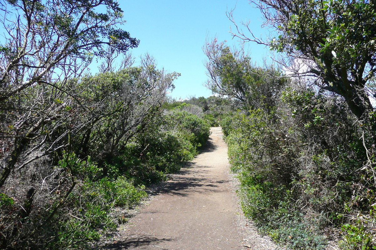 รูปถ่าย ฝรั่งเศส(France) เกาะปอร์เกอรอล(Porquerolles Island) แหลมเลอแก็ง(Pointe du Lequin) 2008-05 25