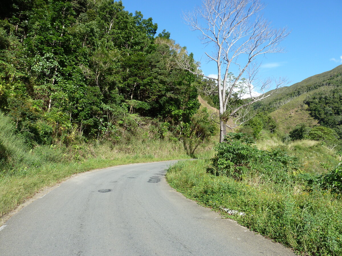 รูปถ่าย นิวแคลิโดเนีย(New Caledonia) ถนนจากกานาลาไปลาฟัว(Canala to La Foa road) 2010-05 23