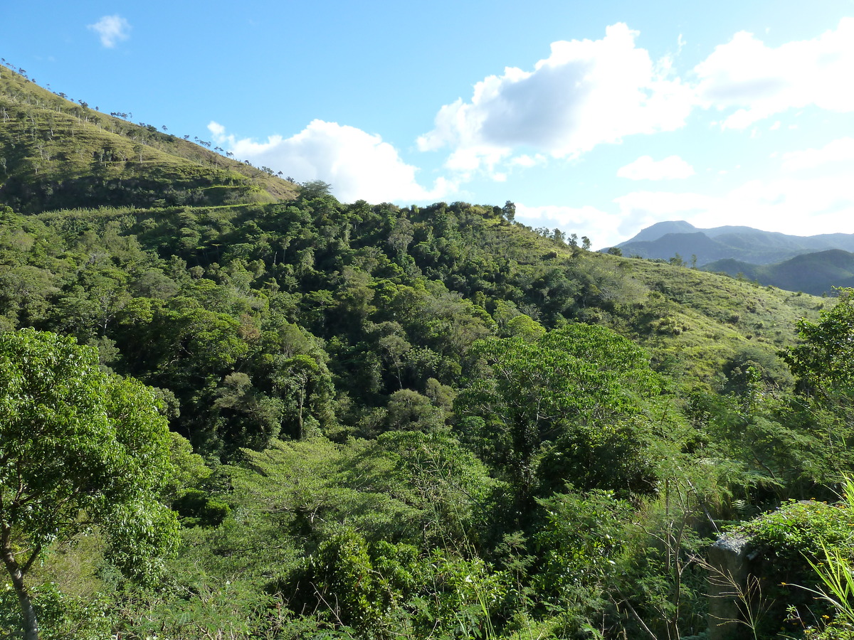 รูปถ่าย นิวแคลิโดเนีย(New Caledonia) ถนนจากกานาลาไปลาฟัว(Canala to La Foa road) 2010-05 12