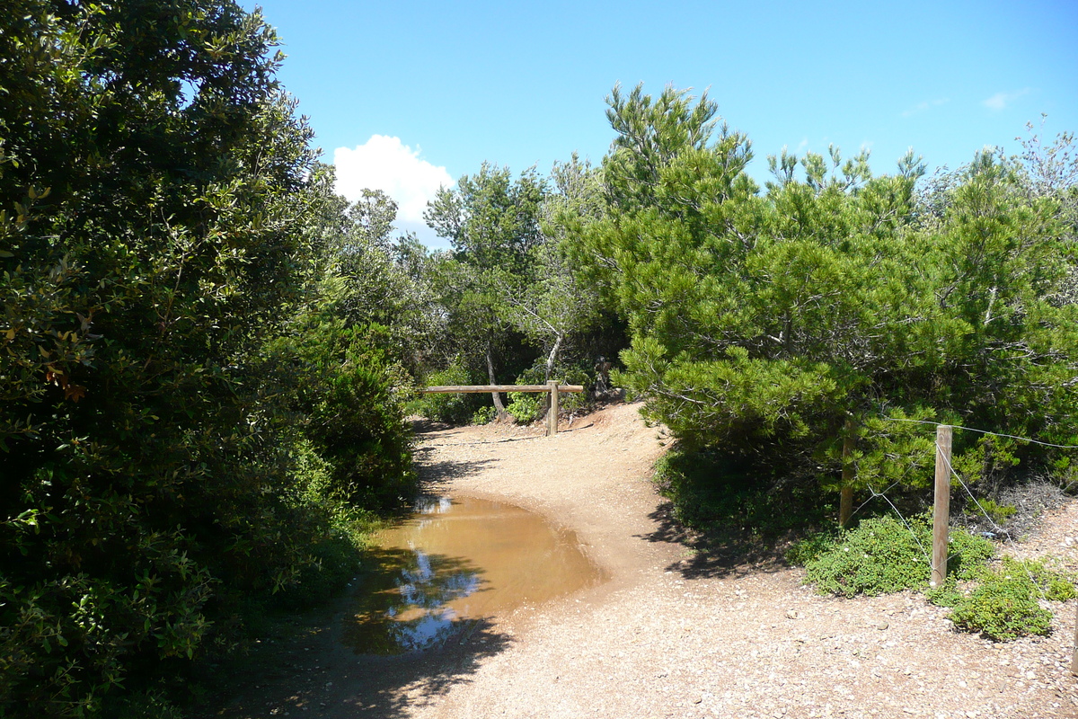รูปถ่าย ฝรั่งเศส(France) เกาะปอร์เกอรอล(Porquerolles Island) แหลมเลอแก็ง(Pointe du Lequin) 2008-05 9
