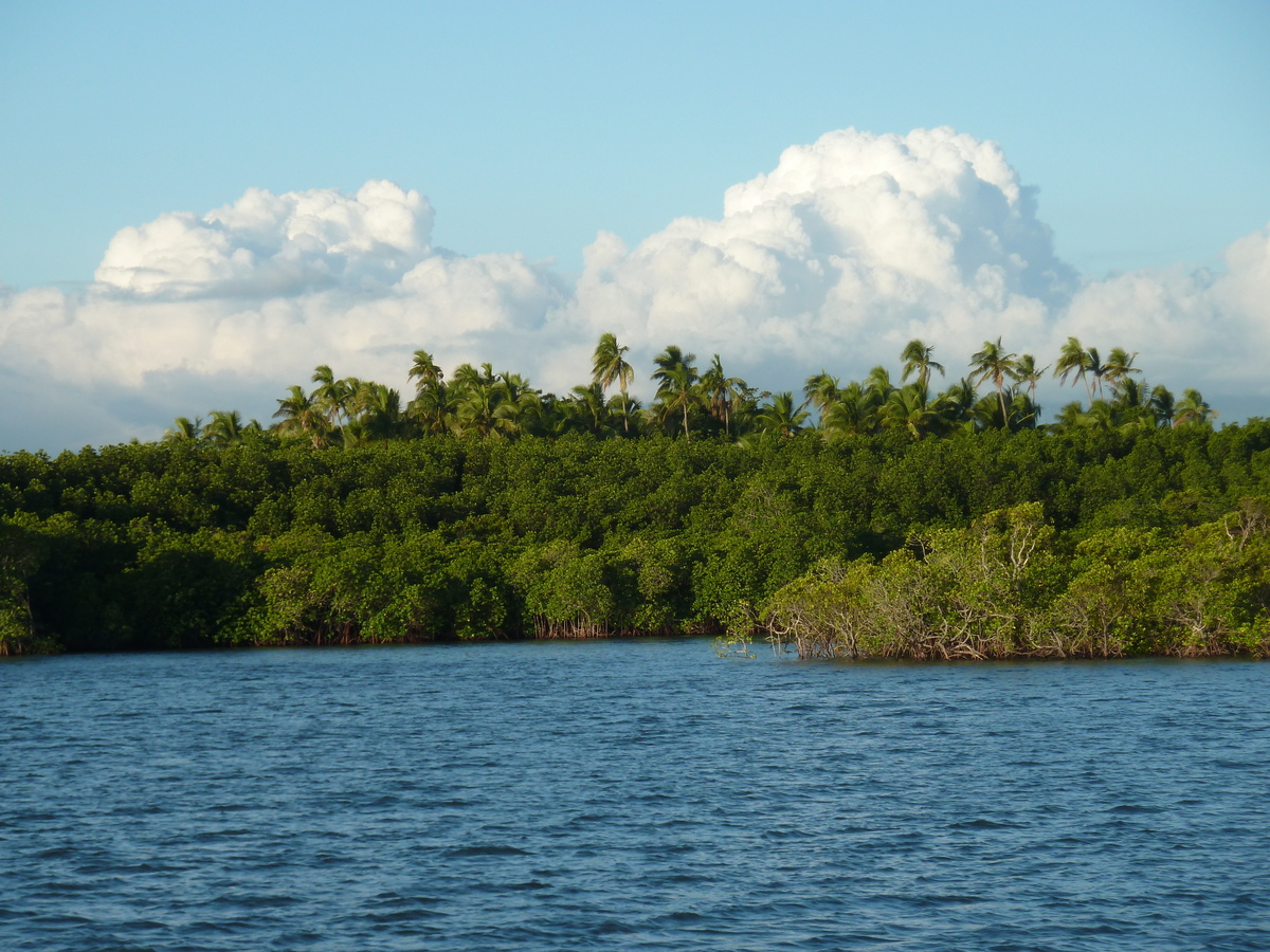 รูปถ่าย ฟิจิ(Fiji) ท่าเรือเดนาเรา(Port Denarau) 2010-05 37