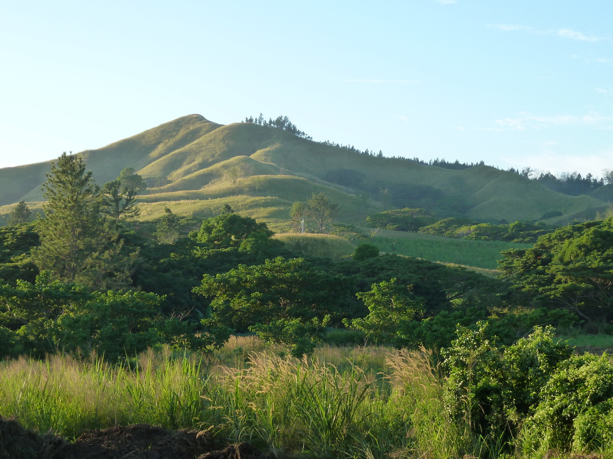 รูปถ่าย ฟิจิ(Fiji) ถนนจากนาดีไปซิงกาโตกา(Nadi to Sigatoka road) 2010-05 1