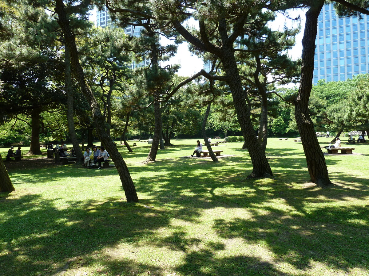 รูปถ่าย ญี่ปุ่น(Japan) โตเกียว(Tokyo) สวนฮามะริคิว(Hama rikyu Gardens) 2010-06 3