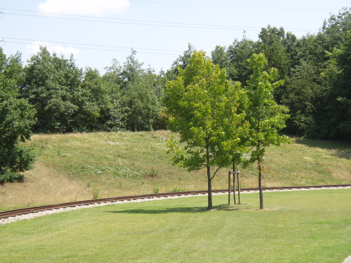 รูปถ่าย ฝรั่งเศส(France) วีลเนิฟ-ลา-การาน(Villeneuve La Garenne) สวนช็องเตอแรน(Parc des Chanteraines) 2007-07 53
