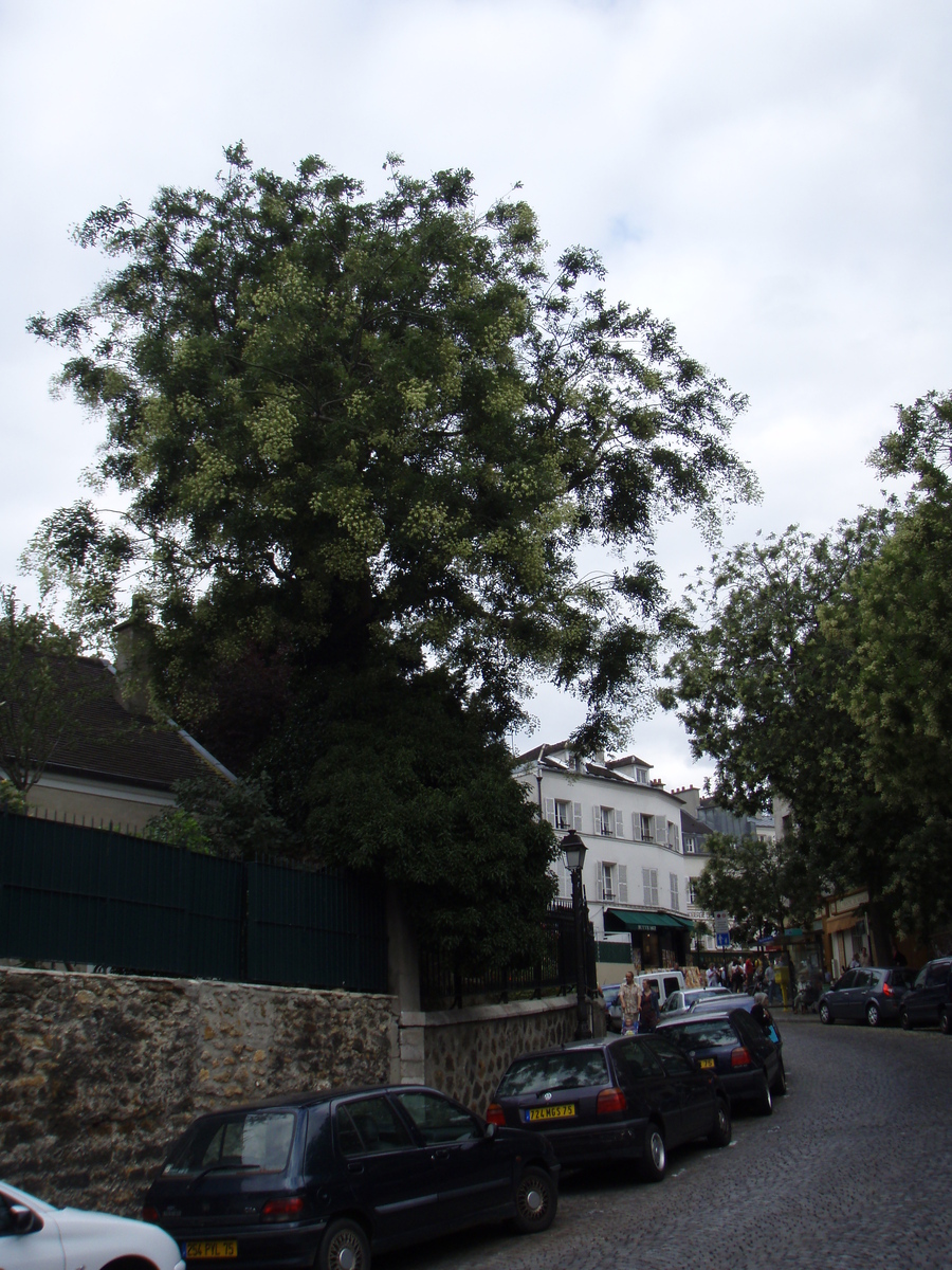 รูปถ่าย ฝรั่งเศส(France) ปารีส(Paris) คุ้ม 18 ในปารีส(18th Arrondissement) 2007-07 48