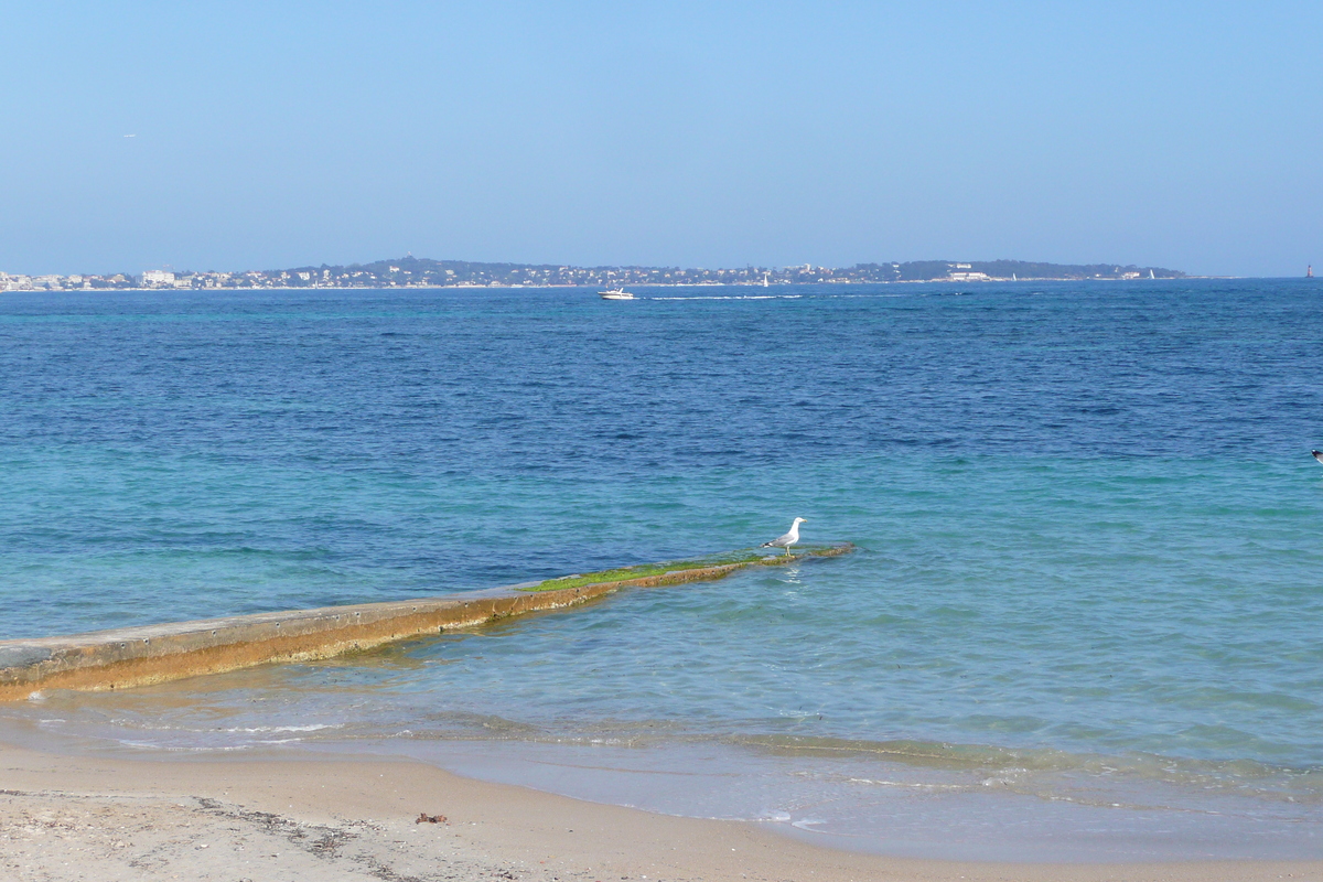 รูปถ่าย ฝรั่งเศส(France) คานส์(Cannes) หาดกาซาแญร์(Plage Gazagnaire) 2008-03 75