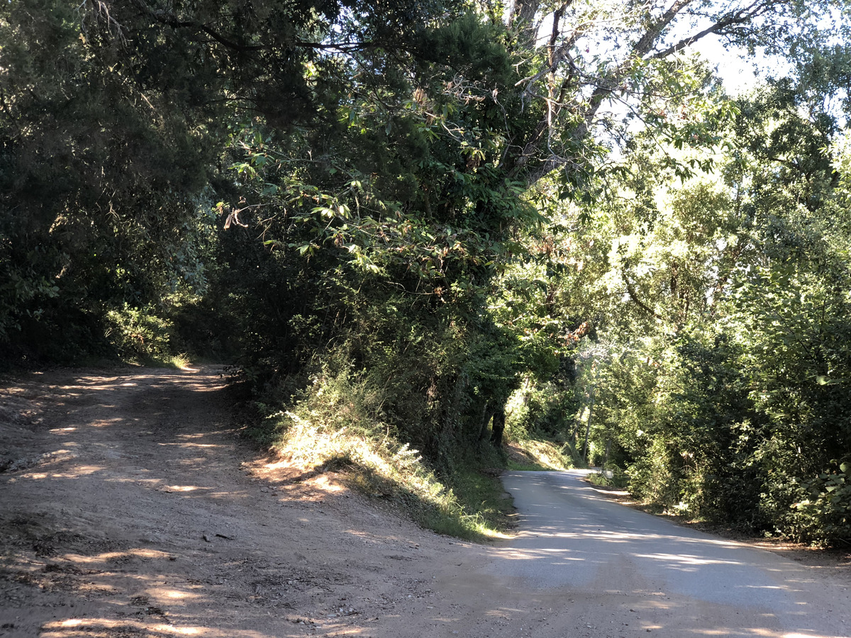 รูปถ่าย ฝรั่งเศส(France) คอร์สิคา(Corsica) ซานจูเลียโน(San Giuliano) 2018-09 31