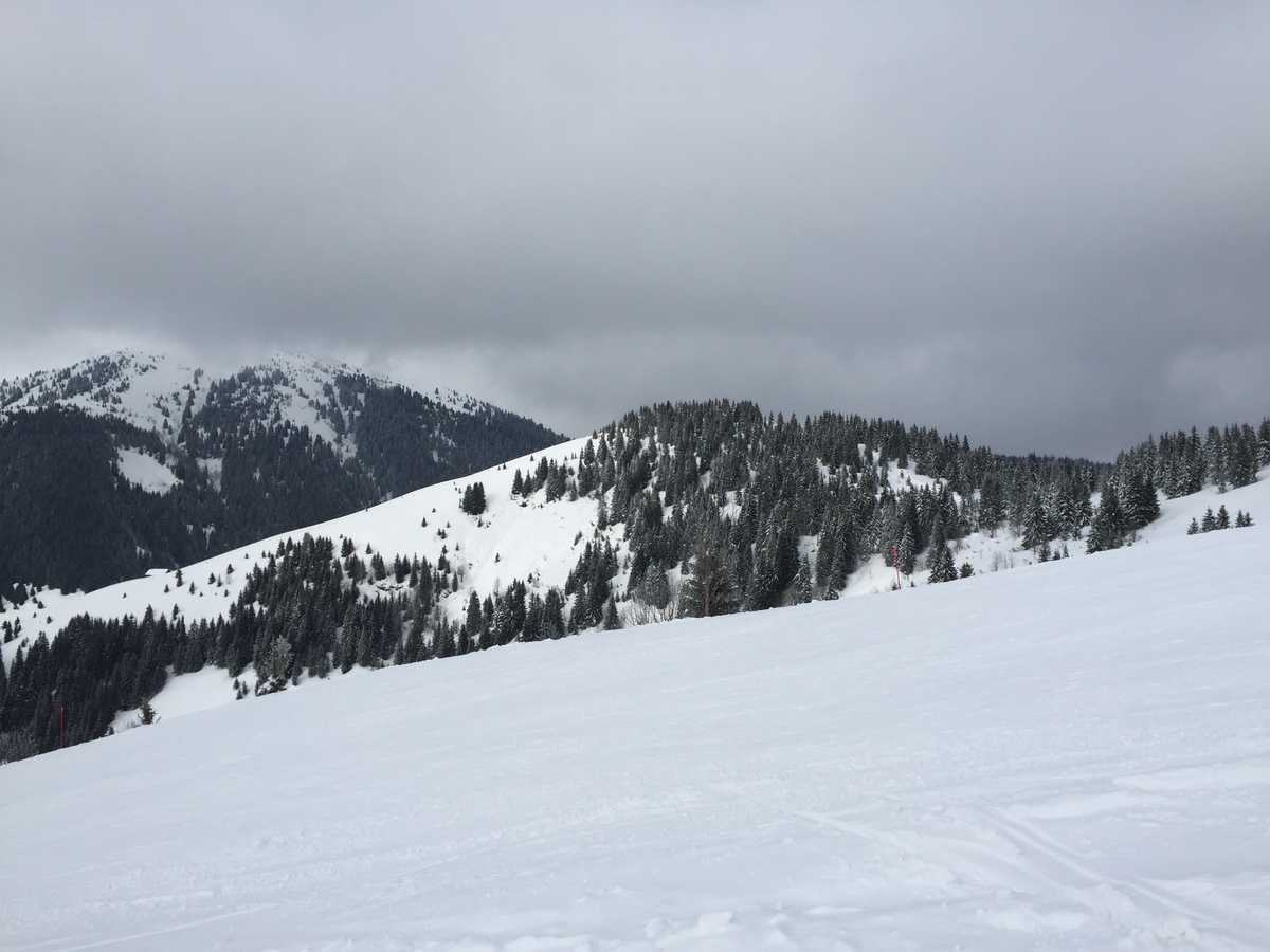 รูปถ่าย ฝรั่งเศส(France) เมแฌฟว์(Megeve) 2016-02 63