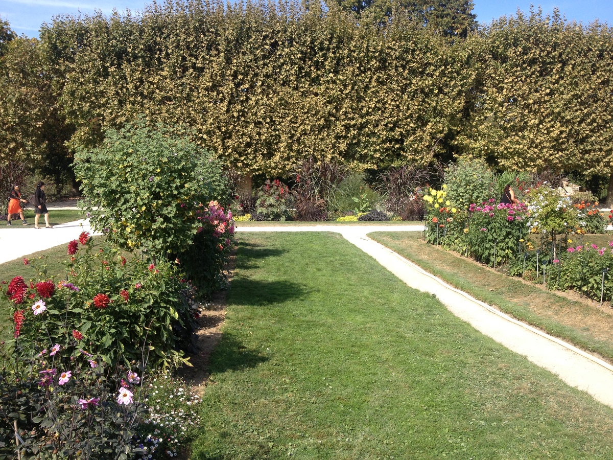 รูปถ่าย ฝรั่งเศส(France) ปารีส(Paris) สวนพันธ์ุพืช(Jardin des Plantes) 2014-09 28