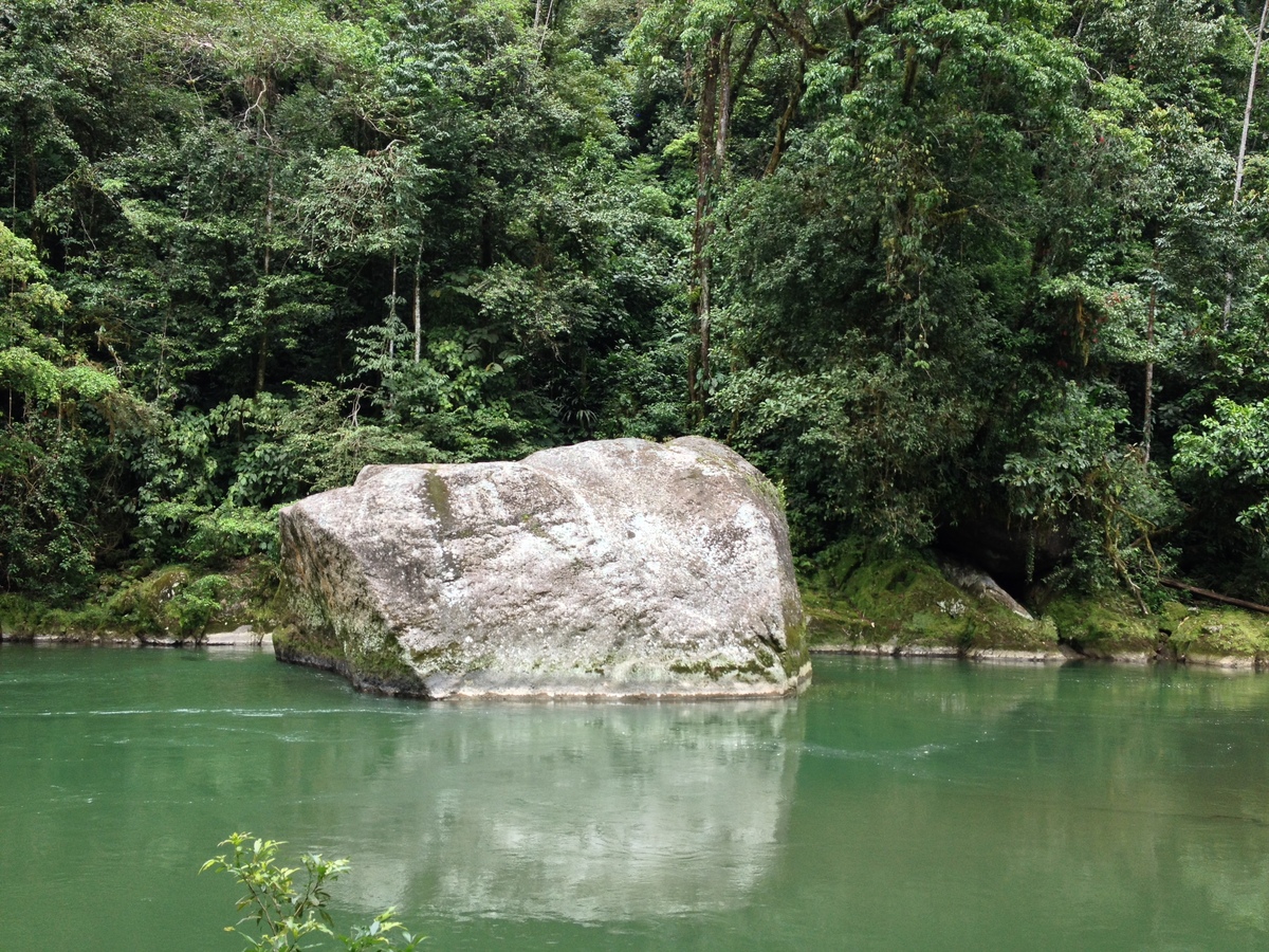 รูปถ่าย คอสตาริกา(Costa Rica) แม่น้ำปากัวเร(Pacuare River) 2015-03 209