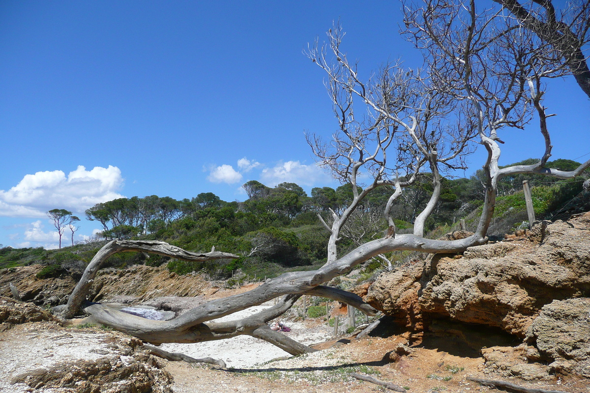 รูปถ่าย ฝรั่งเศส(France) เกาะปอร์เกอรอล(Porquerolles Island) หาดเลอแก็ง(Lequin beach) 2008-05 15