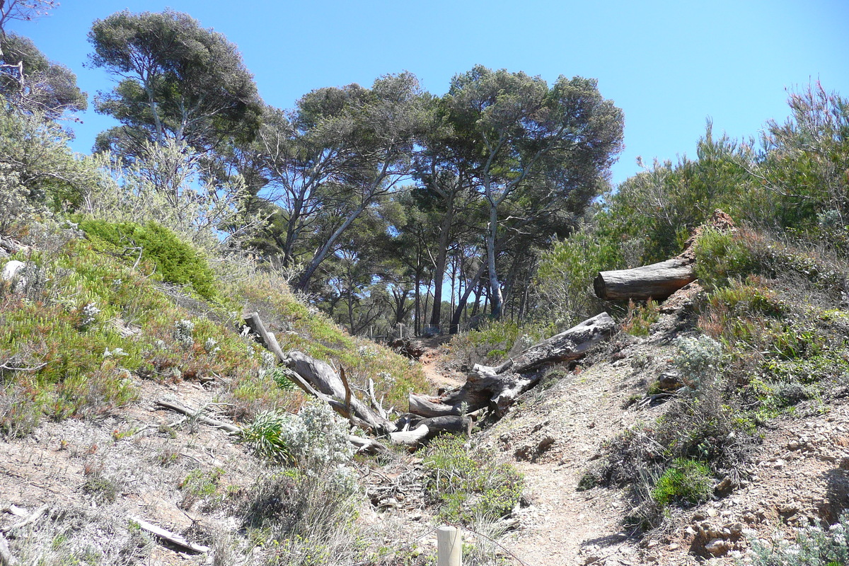 รูปถ่าย ฝรั่งเศส(France) เกาะปอร์เกอรอล(Porquerolles Island) หาดเลอแก็ง(Lequin beach) 2008-05 8