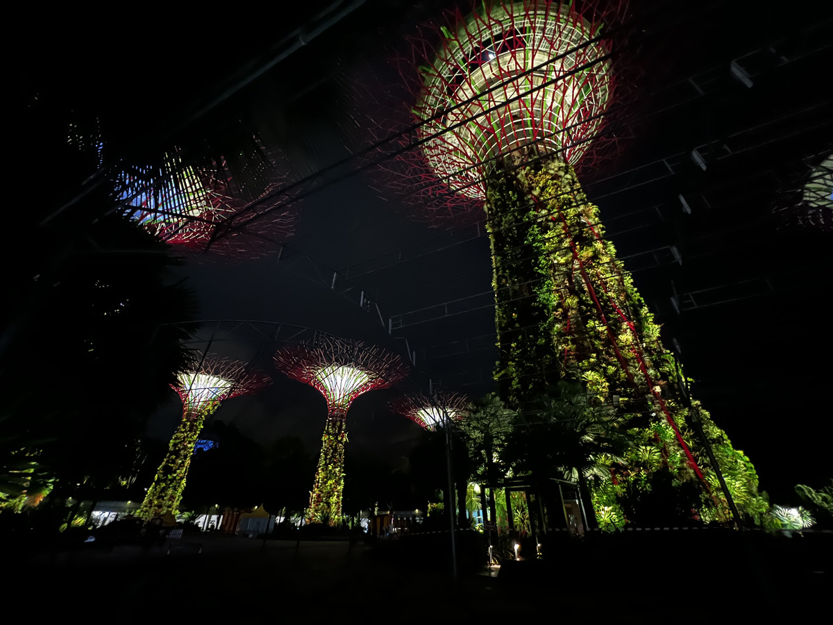 รูปถ่าย สิงคโปร์(Singapore) การ์เดนส์บายเดอะเบย์(Garden by the bay) 2023-01 47