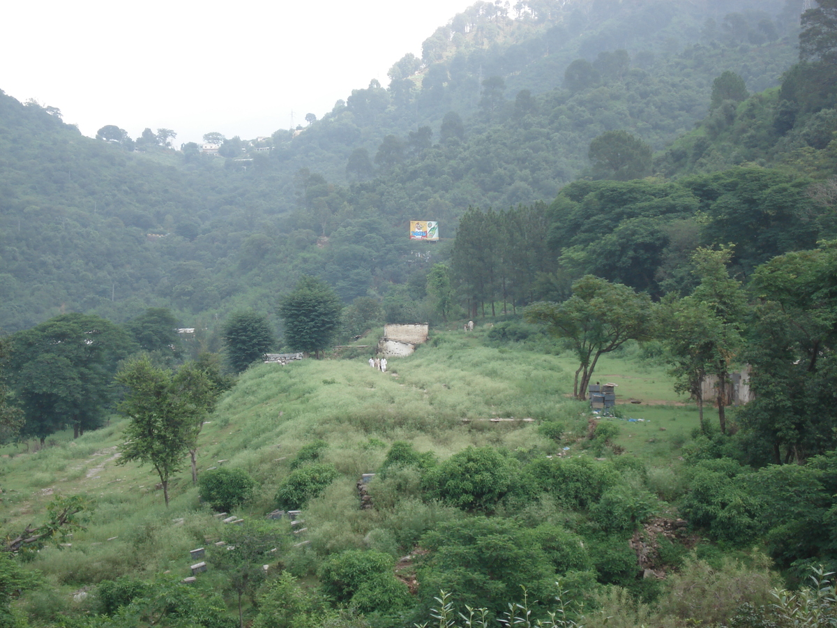 รูปถ่าย ปากีสถาน(Pakistan) ถนนจากอิสลามาบัดไปมัรรี(Islamabad to Murree road) 2006-08 52