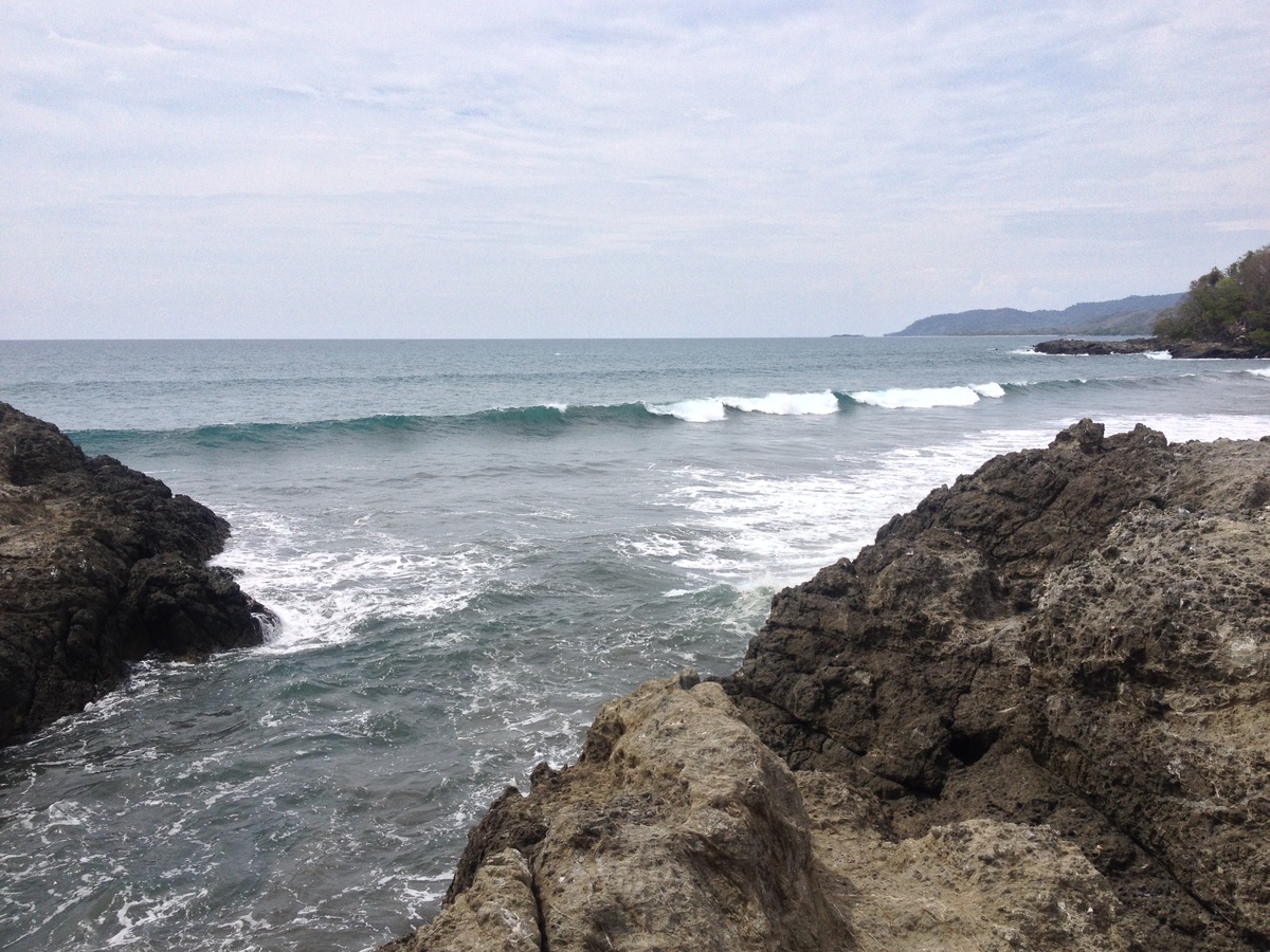 รูปถ่าย คอสตาริกา(Costa Rica) มอนเตซูมา(Montezuma) 2015-03 398