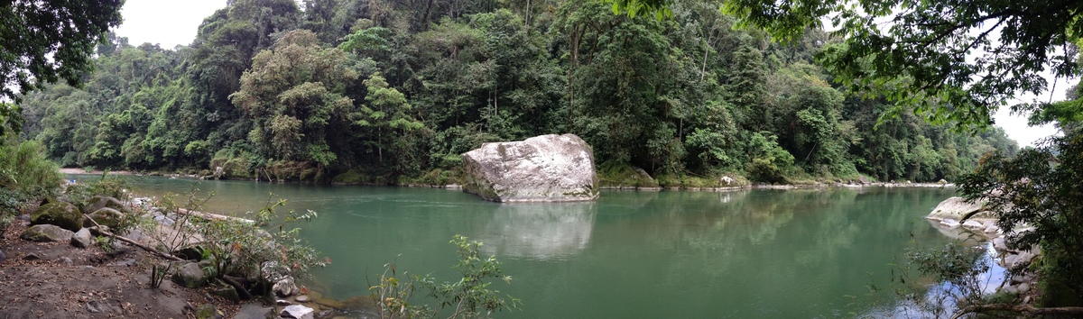 รูปถ่าย คอสตาริกา(Costa Rica) แม่น้ำปากัวเร(Pacuare River) 2015-03 230