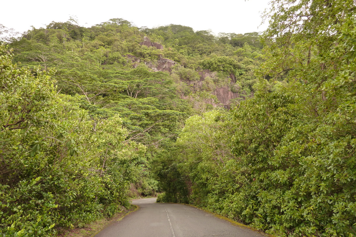 รูปถ่าย เซเชลส์(Seychelles) เกาะมาเฮ(Mahe) 2011-10 104