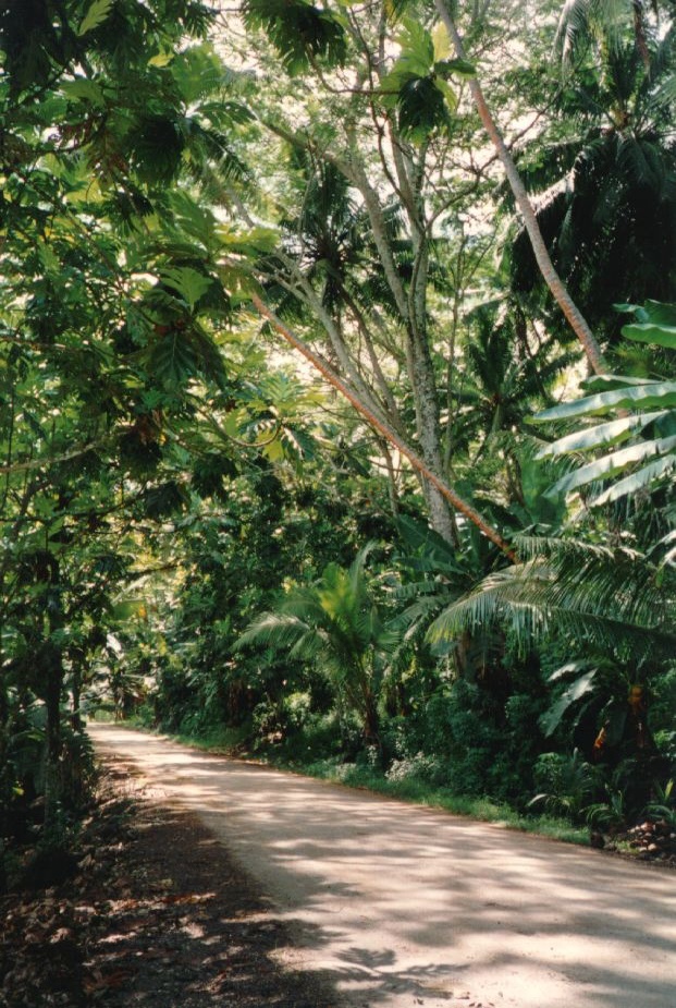 รูปถ่าย เฟรนช์โพลี่นีเซีย(Polynesia) 1993-04 45