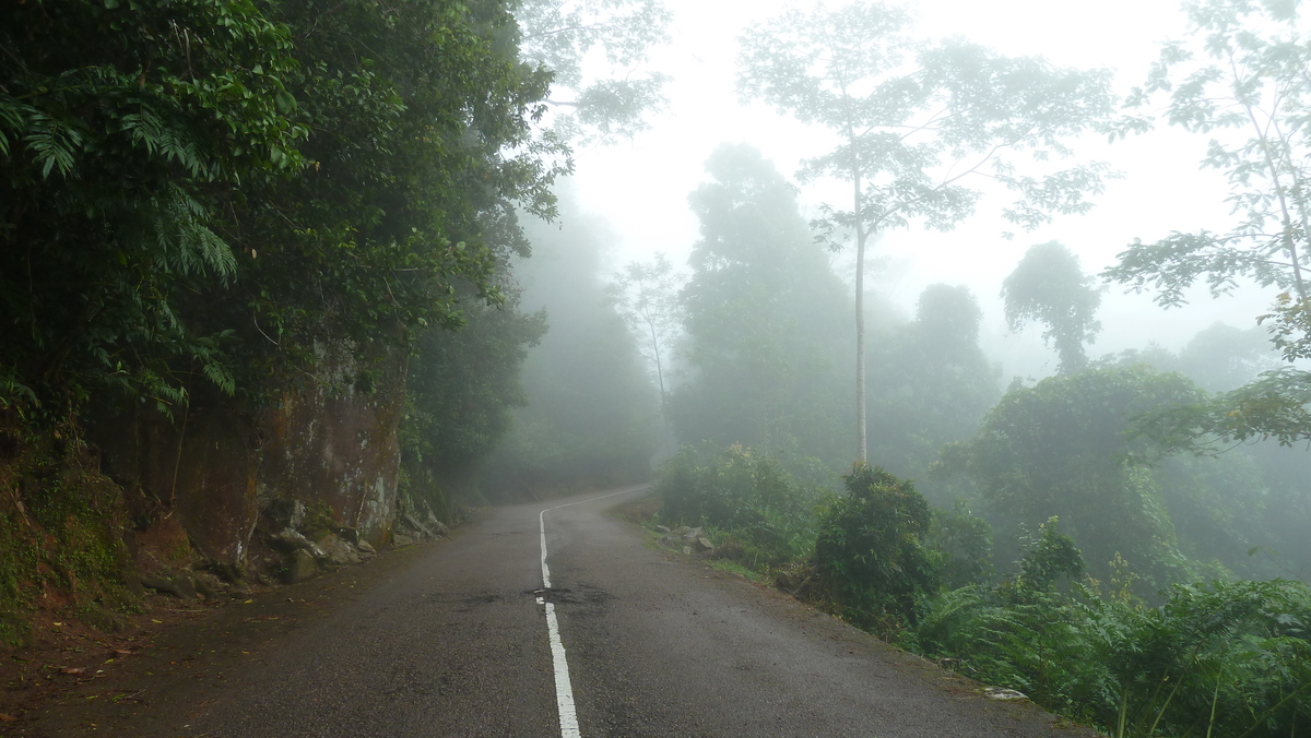รูปถ่าย เซเชลส์(Seychelles) เกาะมาเฮ(Mahe) 2011-10 118