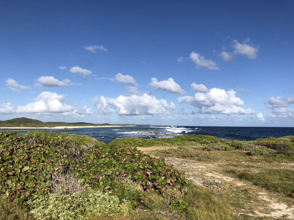 รูปถ่าย กวาเดอลูป(Guadeloupe) แหลมคาสเซิลพอยต์(Castle Point) 2021-02 157