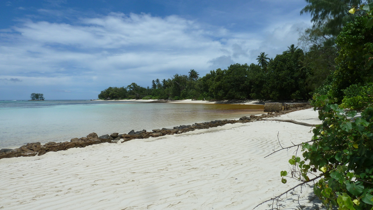รูปถ่าย เซเชลส์(Seychelles) เกาะลาดีก(La Digue) 2011-10 243