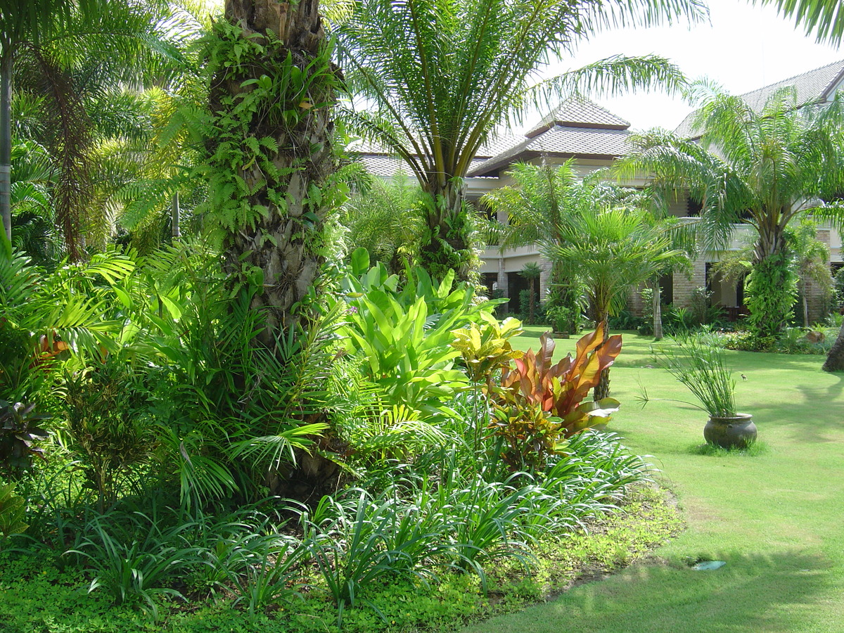 รูปถ่าย ไทย(Thailand) เขาหลัก(Khao Lak) โรงแรมเลอเมอริเดียน เขาหลัก(Meridien Khao Lak Hotel) 2005-12 149
