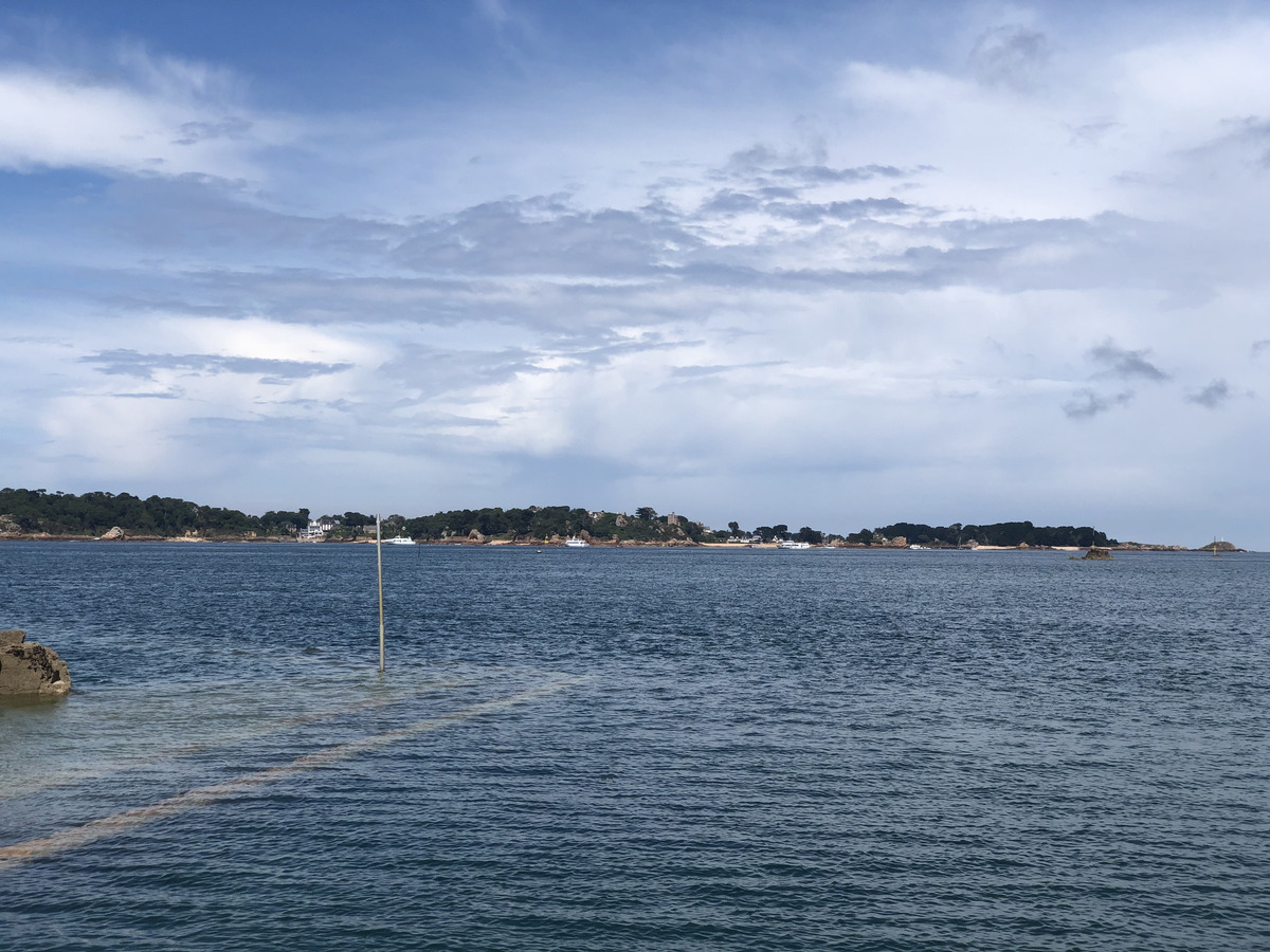รูปถ่าย ฝรั่งเศส(France) เกาะเบรอา(Brehat Island) 2020-06 255