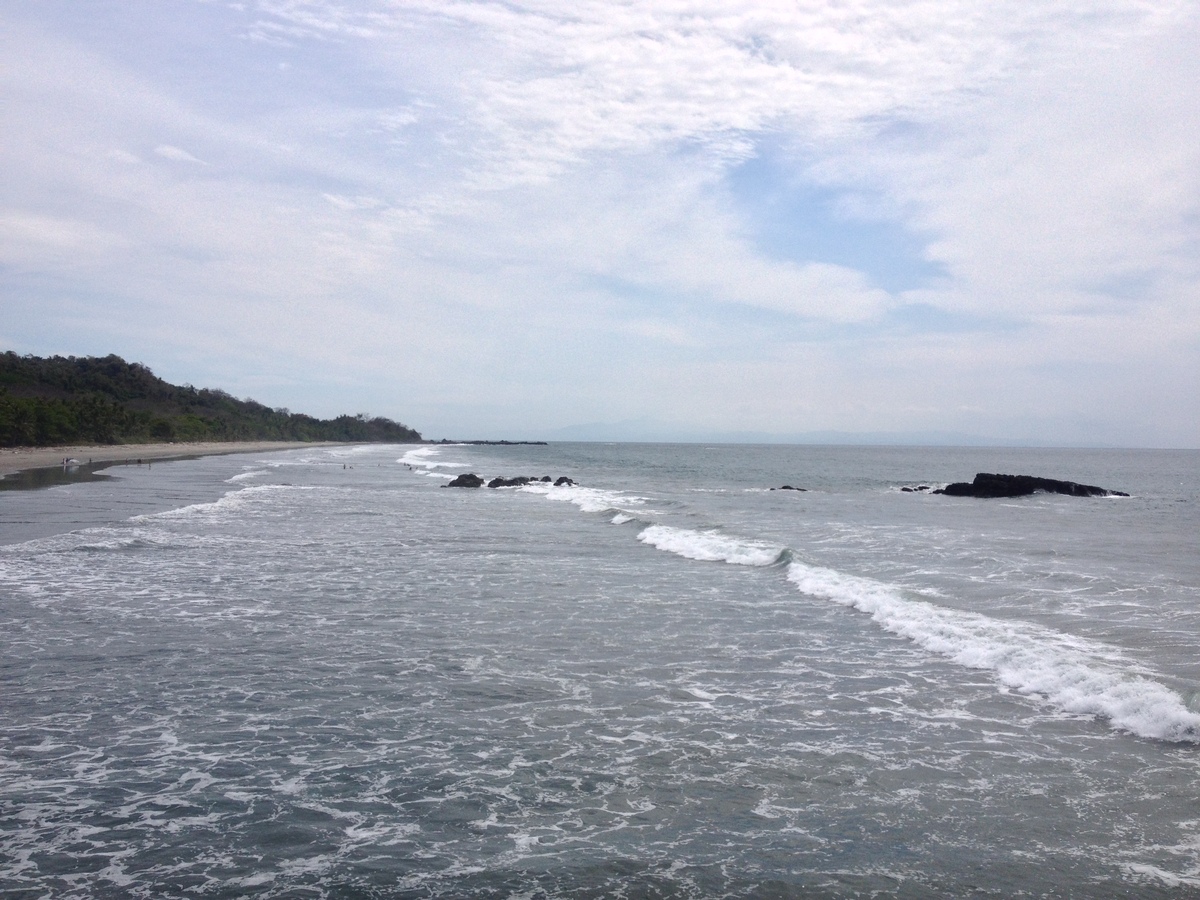 รูปถ่าย คอสตาริกา(Costa Rica) มอนเตซูมา(Montezuma) 2015-03 187