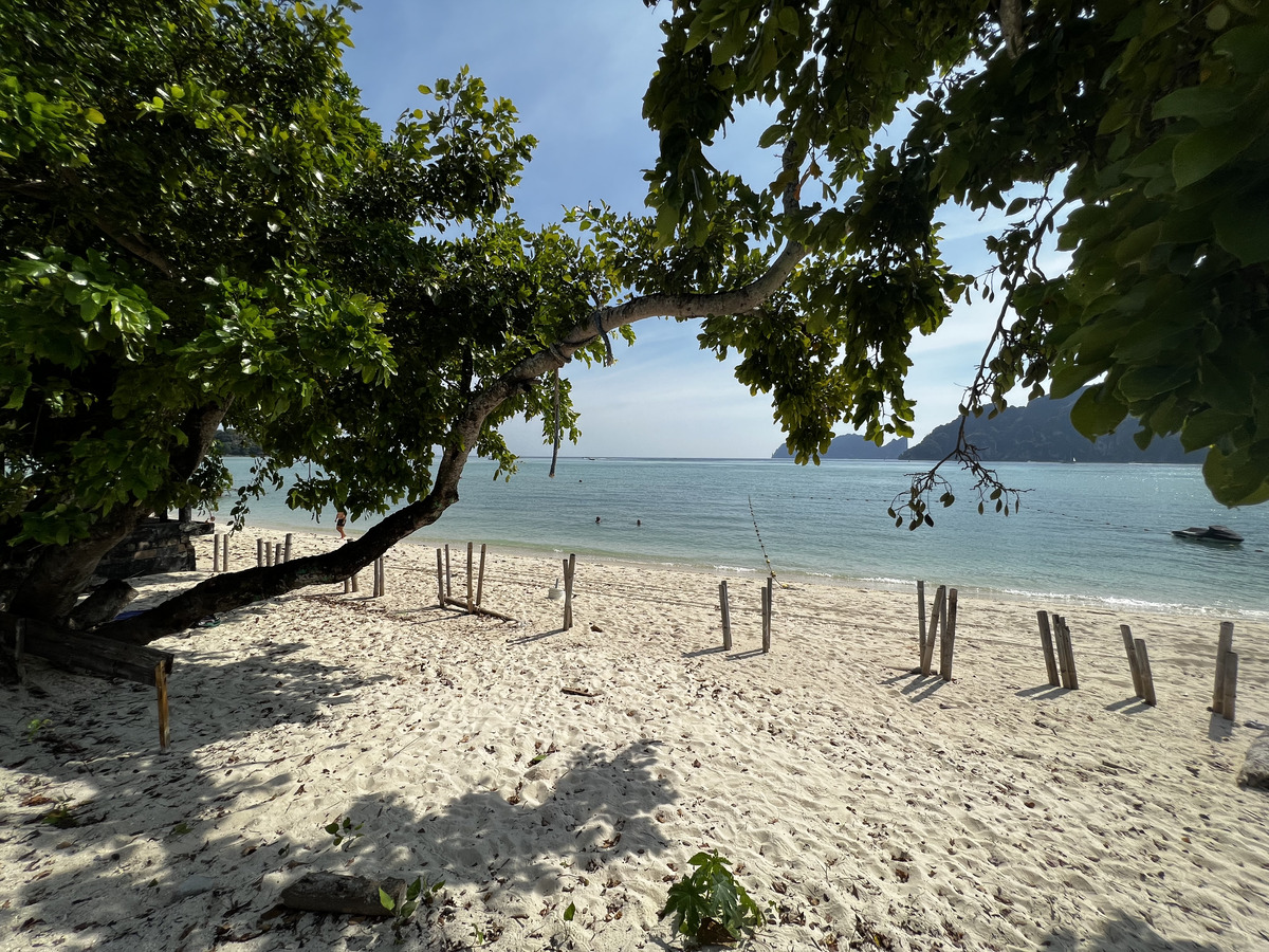 รูปถ่าย ไทย(Thailand) เกาะพีพีดอน(Ko Phi Phi Don) 2021-12 130