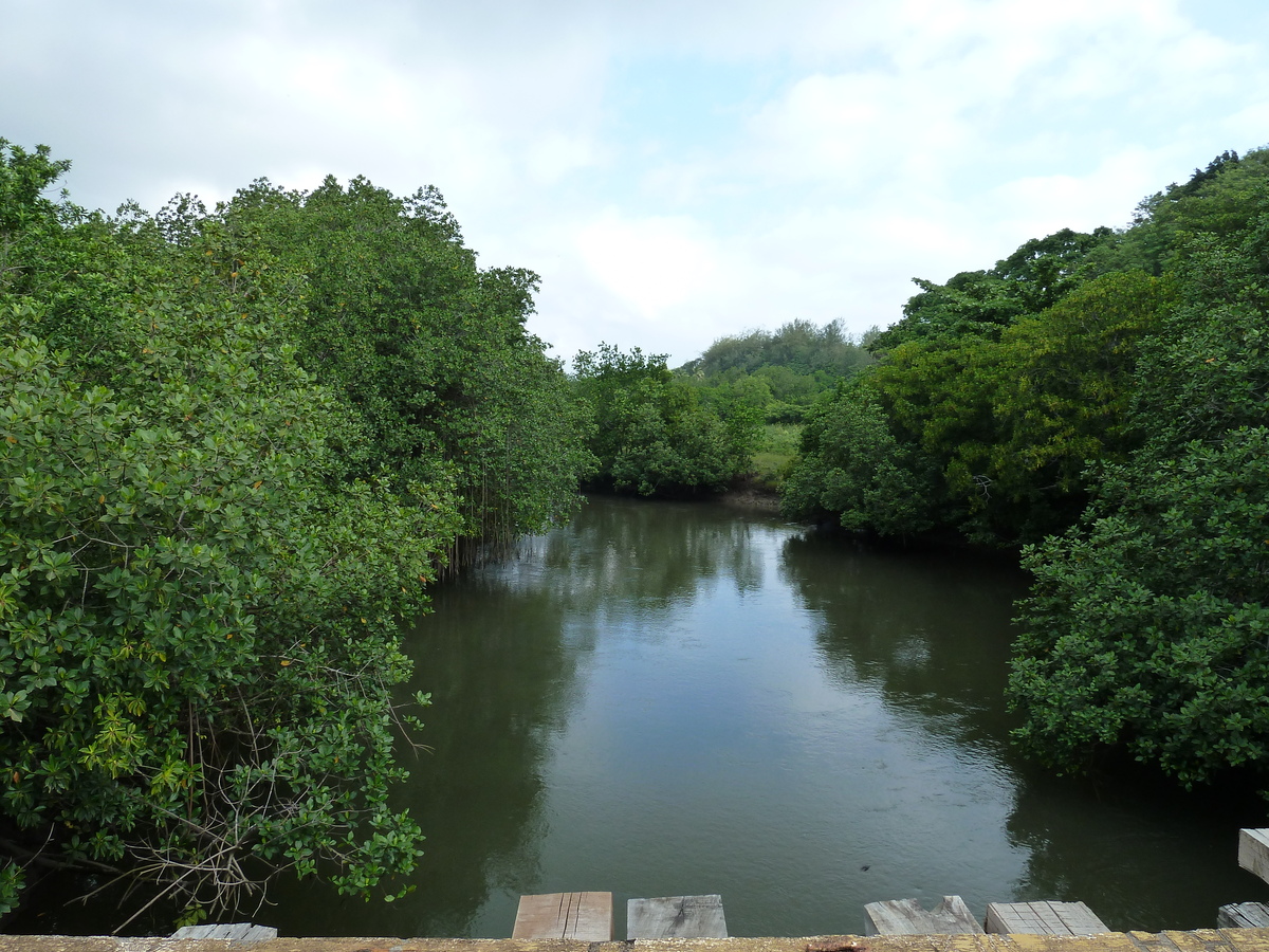 รูปถ่าย ฟิจิ(Fiji) ถนนจากนาดีไปนาตาโดลา(Nadi to Natadola road) 2010-05 72
