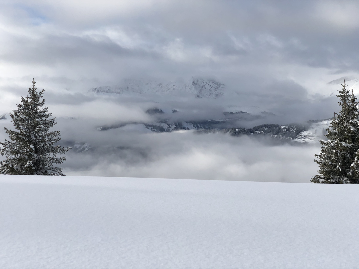 รูปถ่าย ฝรั่งเศส(France) ปรา-ซูร์-อาร์ลี(Praz sur Arly) 2019-12 205