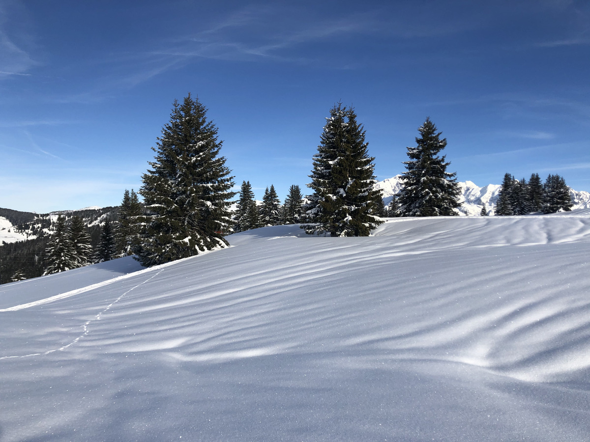 รูปถ่าย ฝรั่งเศส(France) ปรา-ซูร์-อาร์ลี(Praz sur Arly) 2019-12 112