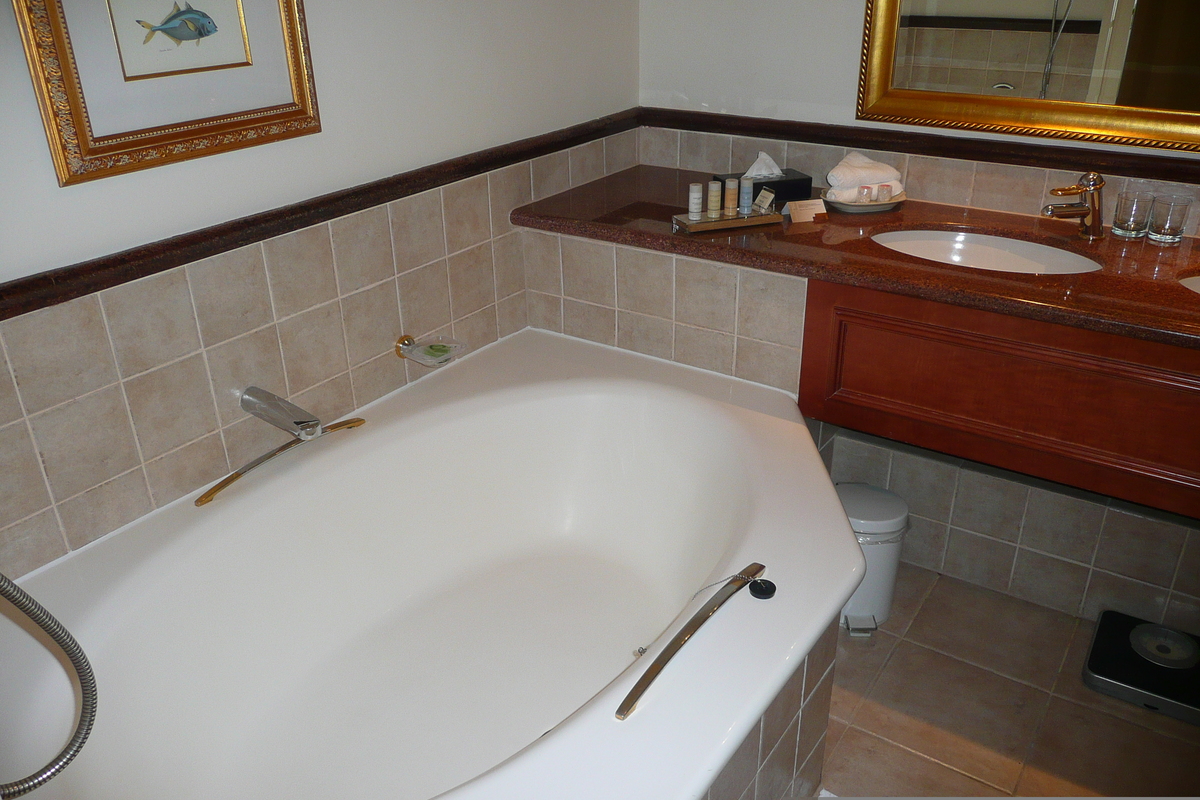 รูปถ่าย แอฟริกาใต้(South Africa) เคปทาวน์(Cape Town) โรงแรมแรดิสัน(Radisson Hotel) 2008-09 17