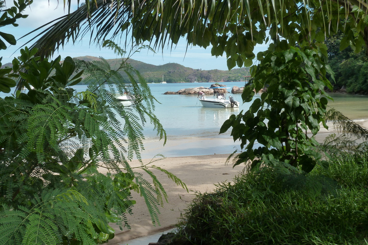 รูปถ่าย เซเชลส์(Seychelles) อ่าวอ็องส์ปอสเซสซียง(Anse Possession) 2011-10 59