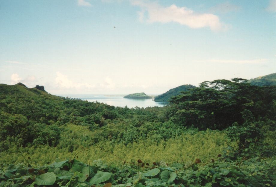 รูปถ่าย เฟรนช์โพลี่นีเซีย(Polynesia) 1993-04 58
