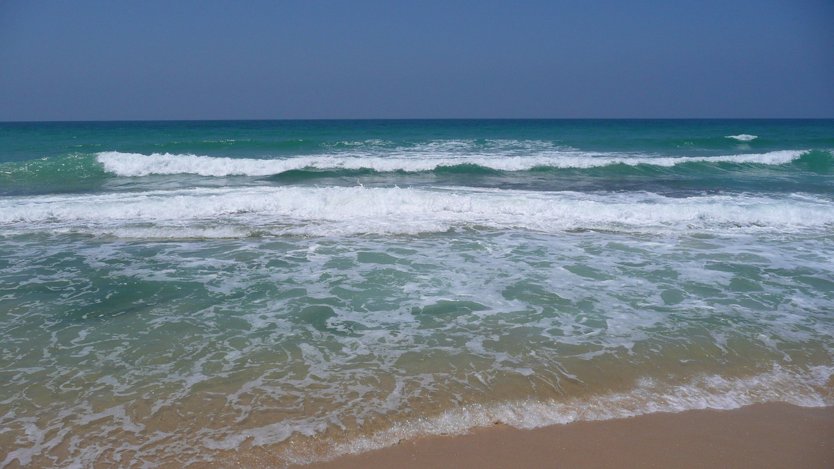 รูปถ่าย อิสราเอล(Israel) นิทซาน(Nitzan) 2007-06 52