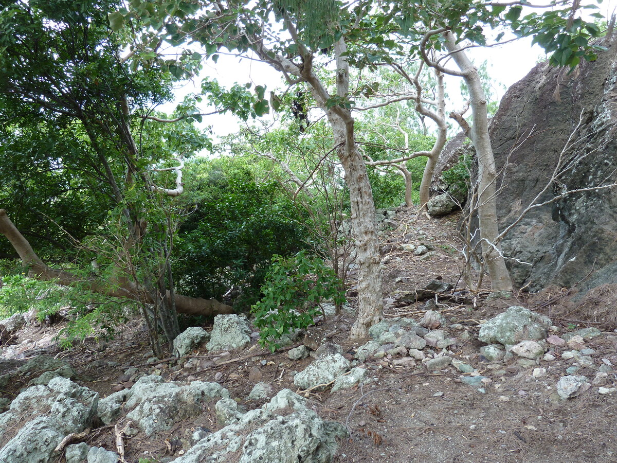 รูปถ่าย ฟิจิ(Fiji) เกาะแคสต์อะเวย์(Castaway Island) 2010-05 216