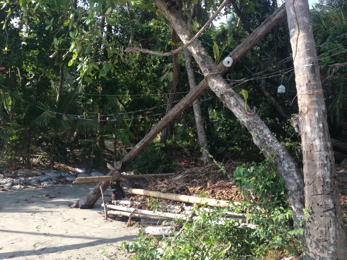 รูปถ่าย คอสตาริกา(Costa Rica) มานวยล์อันโตนีโอ(Manuel Antonio) 2015-03 241