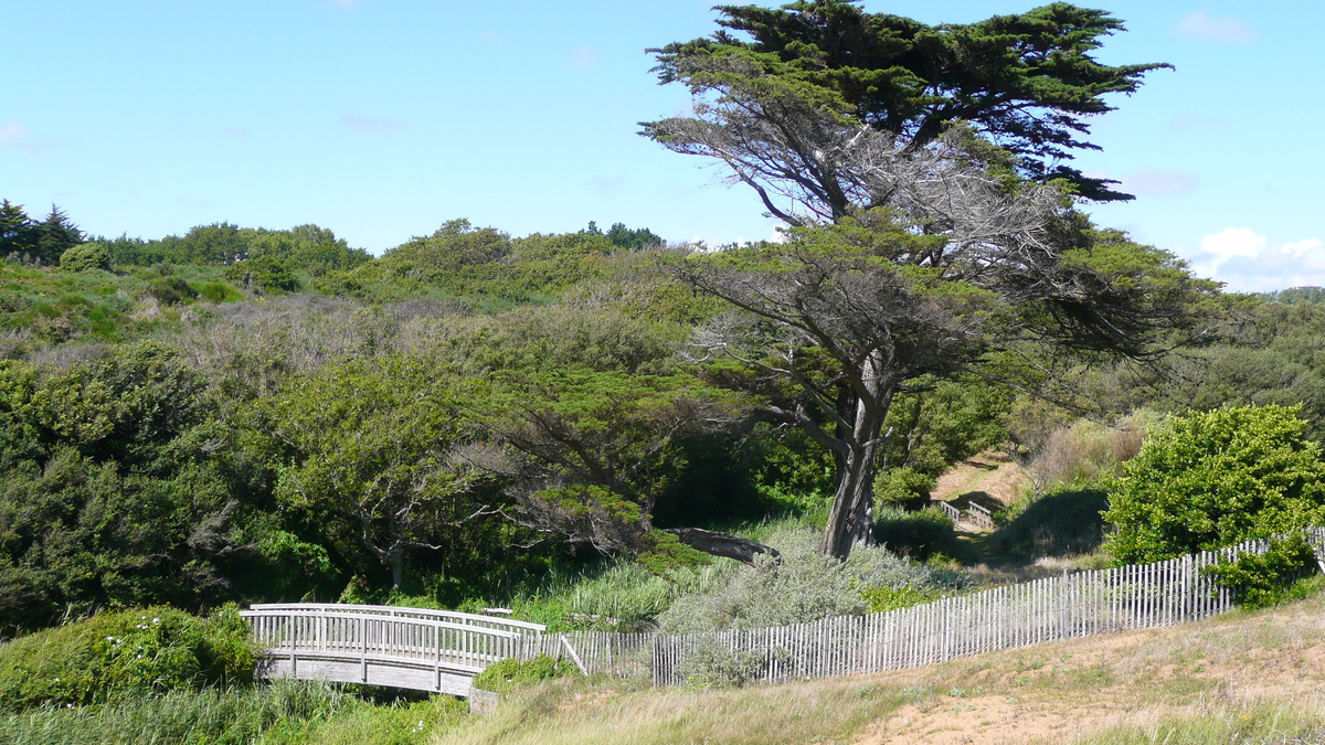 รูปถ่าย ฝรั่งเศส(France) ปอร์นิค(Pornic) หาดเลตัง(Plage de l'etang) 2007-07 1