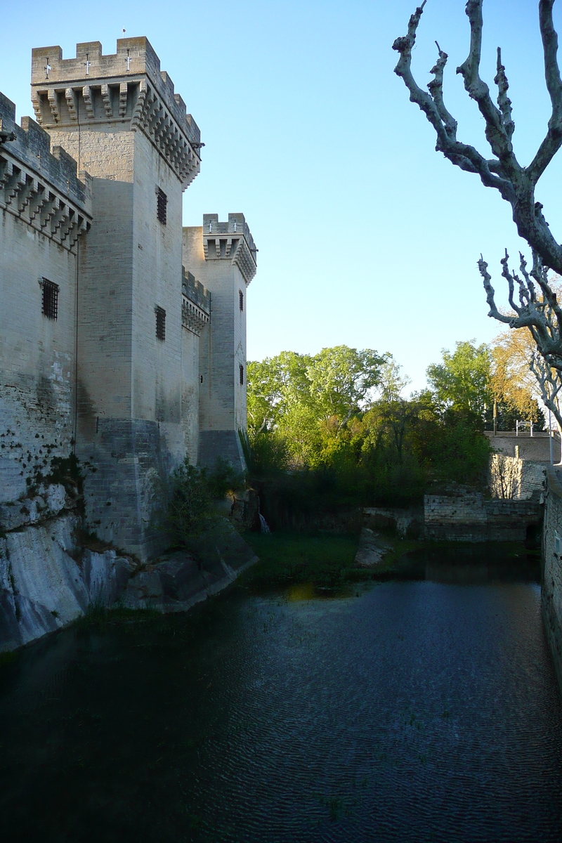 รูปถ่าย ฝรั่งเศส(France) ตาราสกง(Tarascon) ปราสาทตาราสกง(Tarascon Castle) 2008-04 95